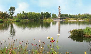 糖心VLGO发展历程梳理