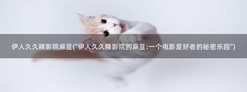 伊人久久不影院