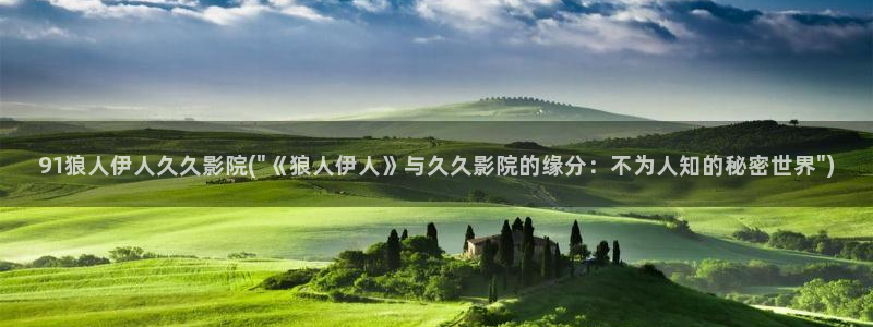 伊人久久碰影院