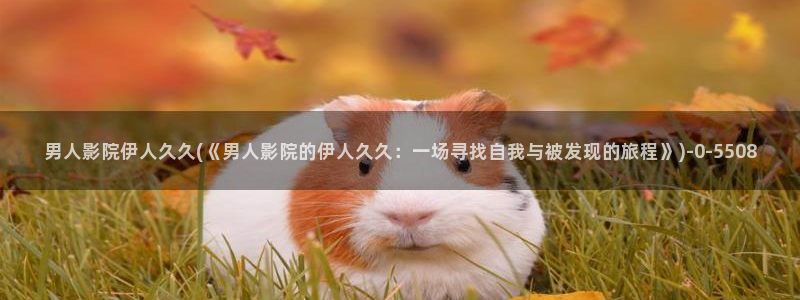 伊人影院在线久久