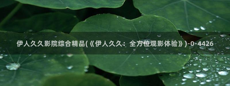 久久午夜伊人理论电影院