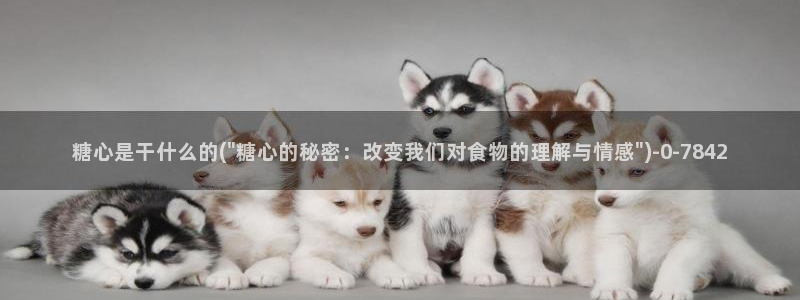 心糖vlog在线免费播放