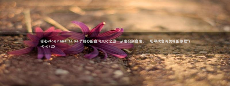  糖心vlog安卓：糖心vlog nana_taipei(\