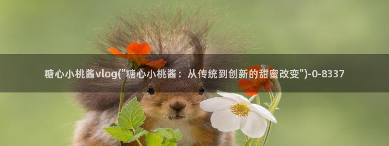 国产糖心vlog在线观看