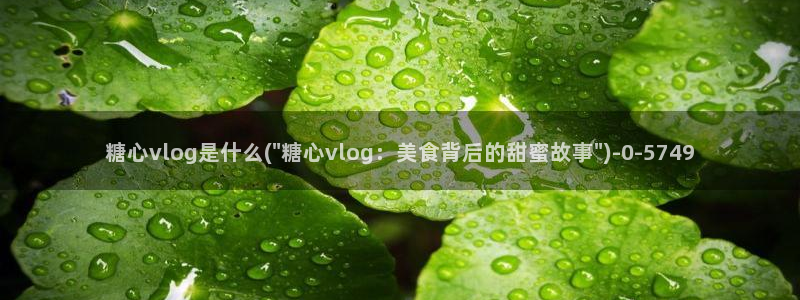 心糖vlog怎么下载