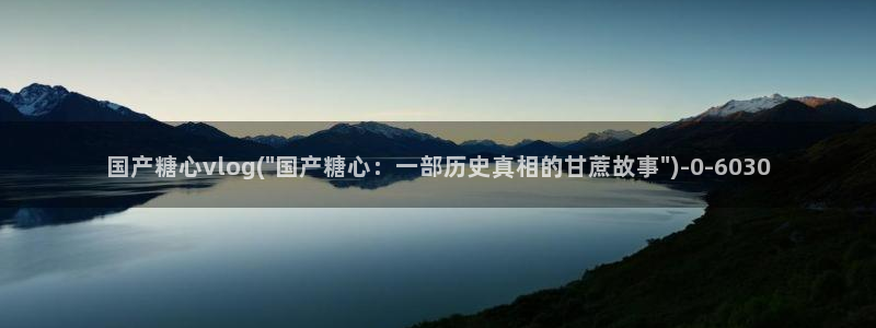 心糖vlogo