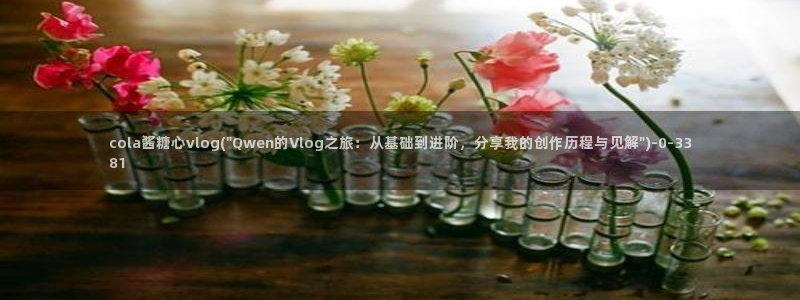 糖果心vlog在哪下