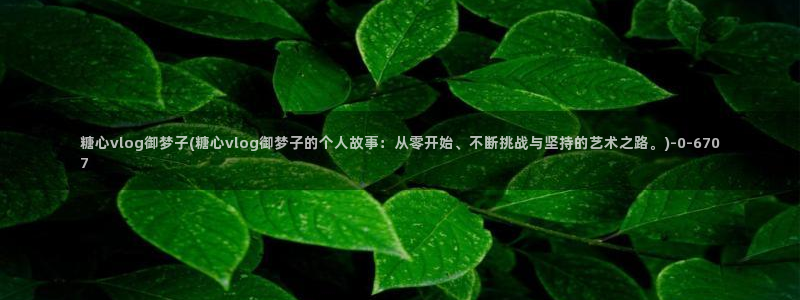 糖心成年版vlog