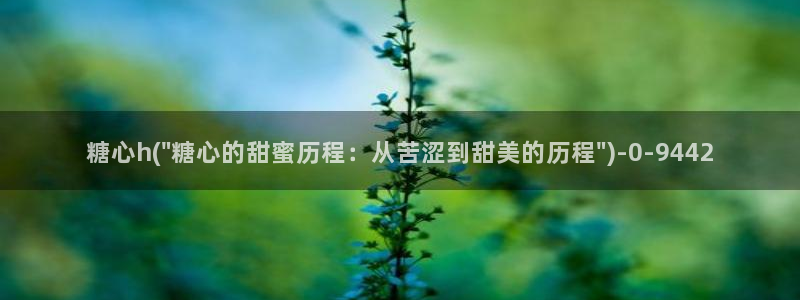 糖心vlog.