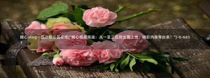 糖心vlog入口免费