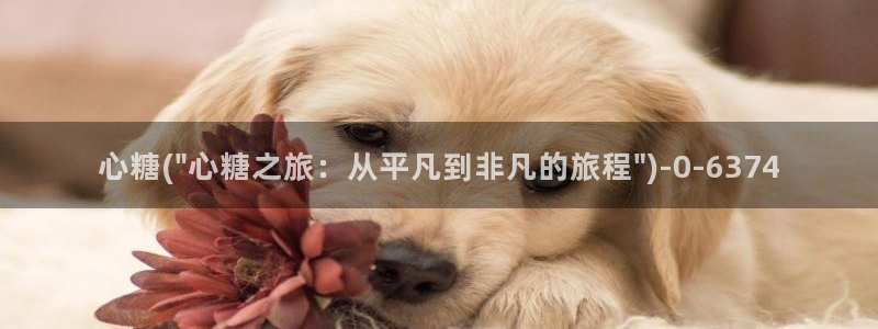 最新糖心vlog