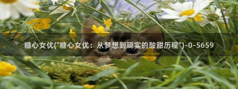 糖心vlog最新地址